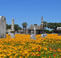 Galveston's Haunted Cemetery Walking Tour - Accommodation Chicago