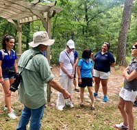 Naturalist-Guided Forest Walk for GROUPS of 10-16 - Accommodation Chicago