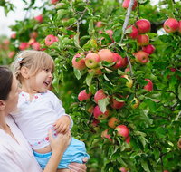 Autumn is in the Air for GROUPS of 10-16 - Accommodation Chicago