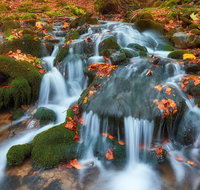 All-Inclusive Autumn Weekend Tour for GROUPS of 10-16 - Accommodation Chicago