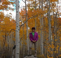 Mountain Hikes in The Wasatch Mountains - Accommodation Chicago