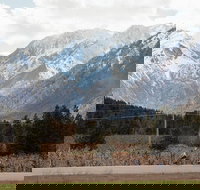 Mountain View E-Bike Experience - Accommodation Chicago