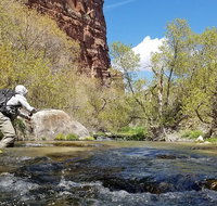 Guided Fly Fishing Experience - Accommodation Chicago