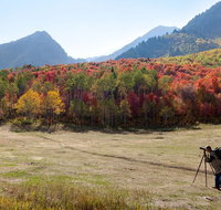 Private Photo Workshop and Sightseeing in Wasatch Mountains - Accommodation Chicago