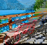 Electric Bike Rentals - Accommodation Chicago