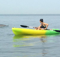 Small Group Dolphin Kayak Eco-Tour - Accommodation Chicago