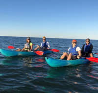 Sunset Dolphin Kayak Tours - Accommodation Chicago