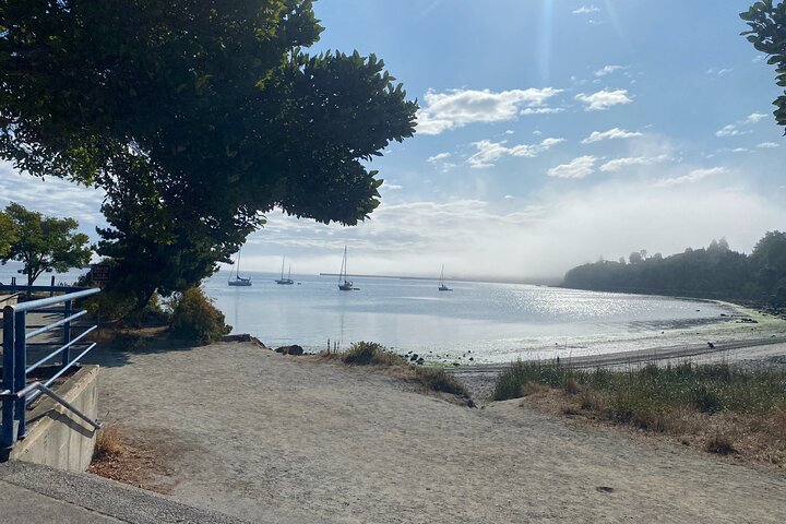 Electric Bike Ride On The Olympic Discovery Trail - thumb 5