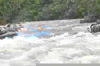 Kosmos Wa Accommodation Chicago