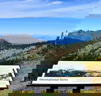 Hurricane Ridge Guided Tour in Olympic National Park - Accommodation Chicago