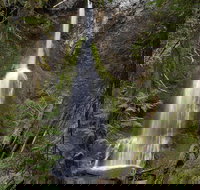 Lake Crescent and Marymere Falls Guided Tour in Olympic National Park - Accommodation Chicago