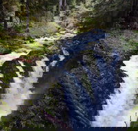 Sol Duc Falls Guided Tour in Olympic National Park - Accommodation Chicago