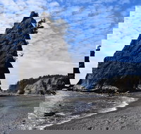 Hoh Rain Forest and Rialto Beach Guided Tour in Olympic National Park - Accommodation Chicago