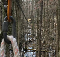 Wetland Zip Tour - Accommodation Chicago