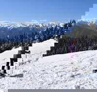 Hurricane Ridge Guided Snowshoe Tour in Olympic National Park - Accommodation Chicago