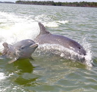 Private or Small Group Motorboat Eco Tour of the Everglades - Accommodation Chicago
