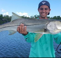 1/2 Day Morning Charter Fishing Naples Marco Everglades Sanibel - Accommodation Chicago