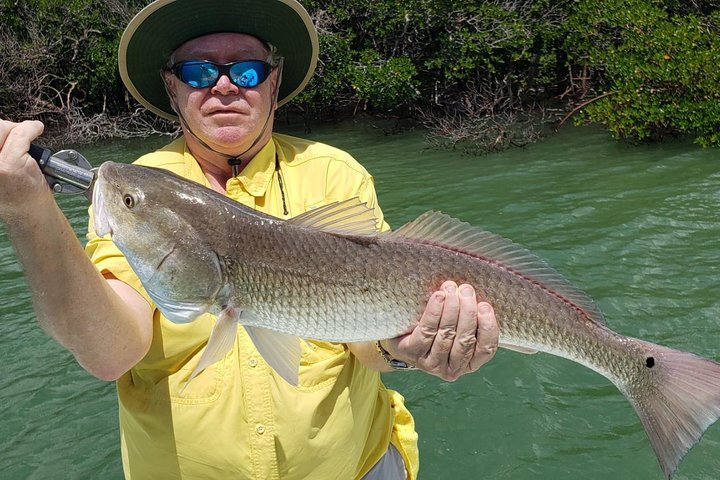1/2 Day Morning Charter Fishing Naples Marco Everglades Sanibel - thumb 4