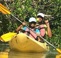Marco Island  Boating Kayak  Walking Eco-Tour - Accommodation Chicago