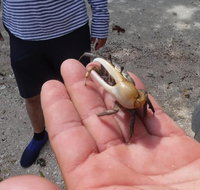 2-hour Shelling Boat Tour in the 10000 Islands - Accommodation Chicago