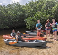 Manatees and Mangrove Tunnels Small Group Kayak Tour - Accommodation Chicago