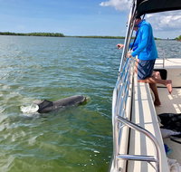 Ten Thousand Islands Boat Tour up to 12 people - Accommodation Chicago