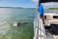 Naples Fl Accommodation Chicago