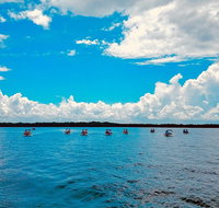 Backwater Adventure's CraigCat Tours of the 10000 Islands - Accommodation Chicago