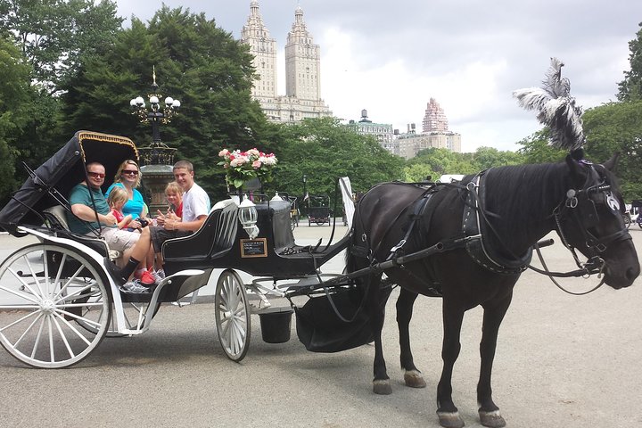 45 Minutes Central Park Tour - thumb 4