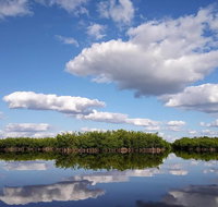 Kayak the Everglades Forest and Marsh Prairies - Accommodation Chicago