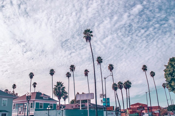 2 Days In Los Angeles: Downtown LA, Hollywood And Rodeo Drive With Private Guide - thumb 2