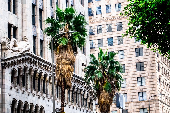 2 Days In Los Angeles: Downtown LA, Hollywood And Rodeo Drive With Private Guide - thumb 3