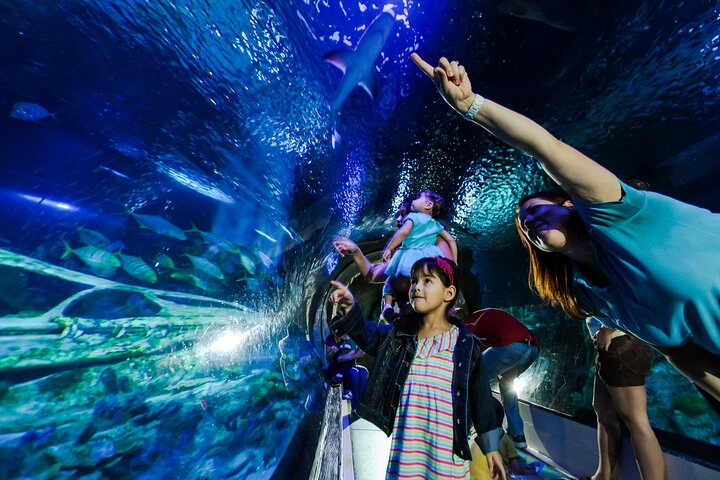 SEA LIFE Aquarium Arizona Admission Ticket - thumb 1