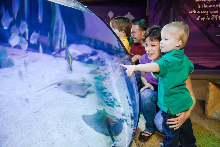 SEA LIFE Aquarium Arizona Admission Ticket - thumb 3